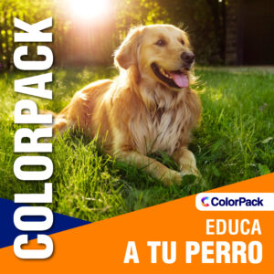 PACK EDUCA A TU PERRO